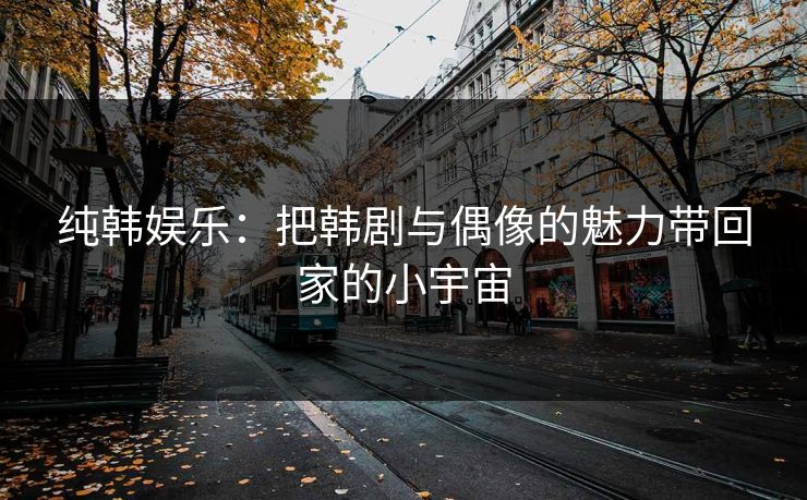纯韩娱乐:把韩剧与偶像的魅力带回家的小宇宙 纯韩娱乐:把韩剧与偶像的魅力带回家的小宇宙