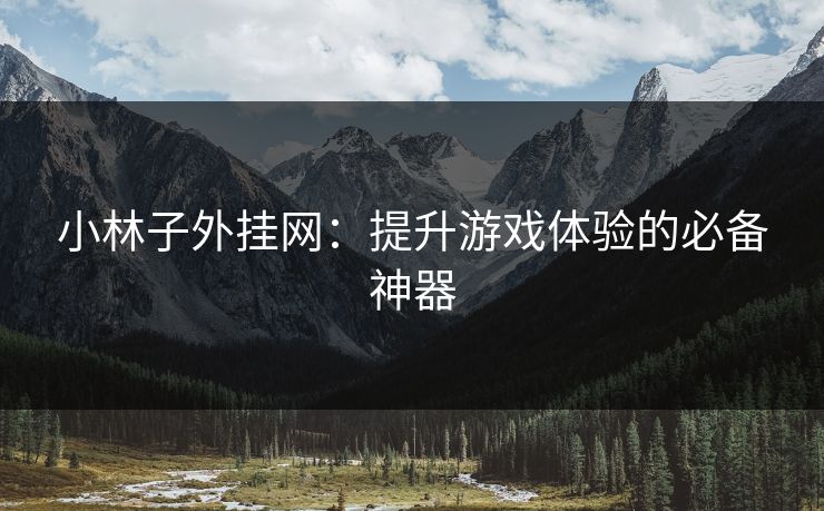 小林子外挂网：提升游戏体验的必备神器