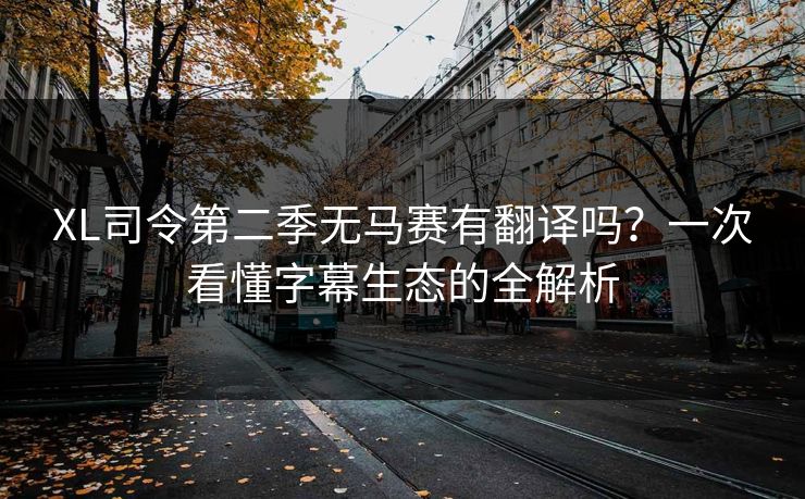 XL司令第二季无马赛有翻译吗？一次看懂字幕生态的全解析