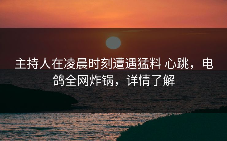 主持人在凌晨时刻遭遇猛料 心跳，电鸽全网炸锅，详情了解