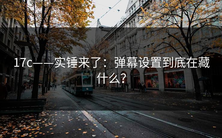17c——实锤来了：弹幕设置到底在藏什么？